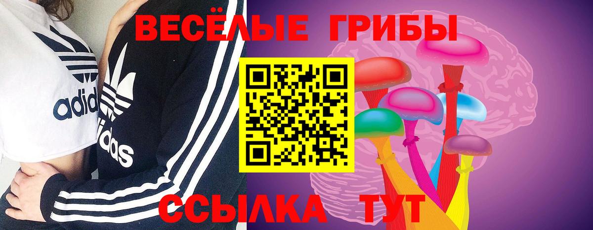 Галлюциногенные грибы Magic Shrooms Карпинск
